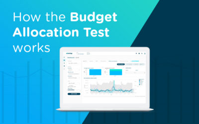 How does the Budget Allocation test works